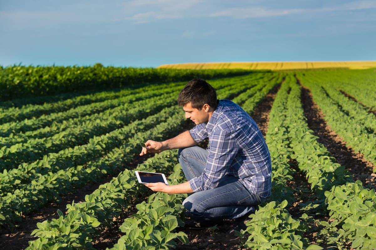 Field data collection