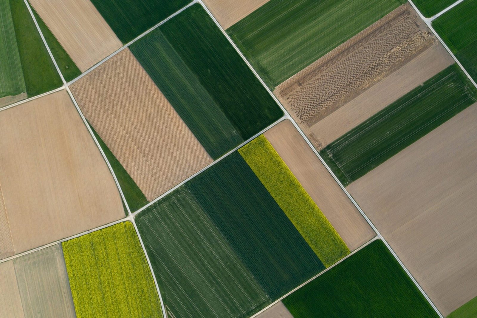 campo-cultivo Impact Measurement and Sustainability
