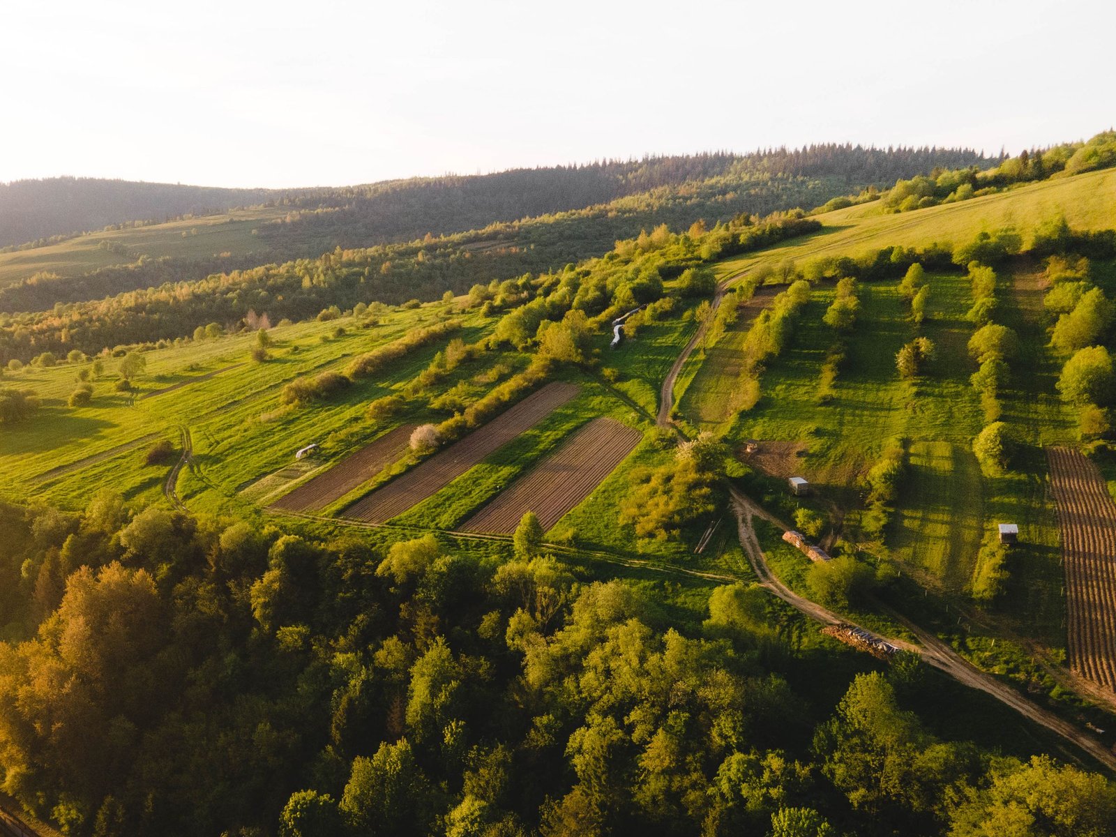 Aerial view of terraced farmland Regenerative farmland ABC works with