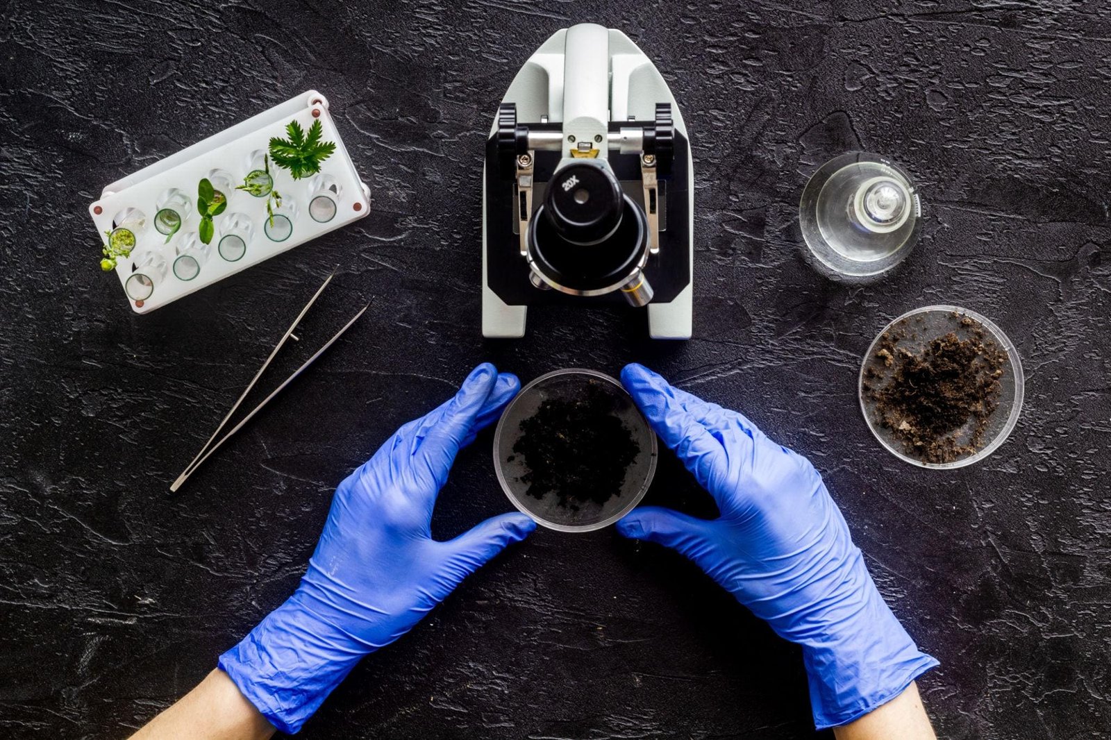 Soil and plant lab research ABC field research